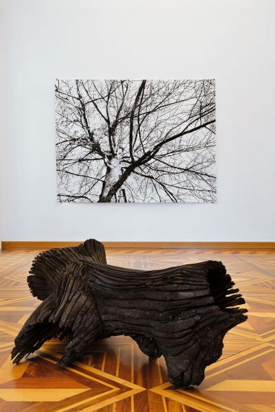 Luca Mengoni (Bellinzona, *1972), The Trees Are Burning in Your Promised Land, 2016, tre disegni a carbone su carta e scultura di legno di ciliegio combusto, 150 x 200 cm, courtesy the artist. © Pier Maulini