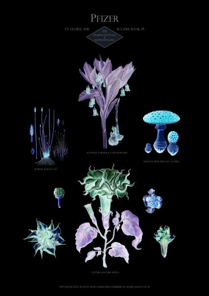 Suzanne Treister (Londra, *1958), HFT The Gardener/Botanical Prints/ Rank 19: Pfizer - US - Pharmaceuticals & biotechnology, 2014-2015, serie di 20 stampe archival glicée, 42 x 29.7 cm. Courtesy the artist