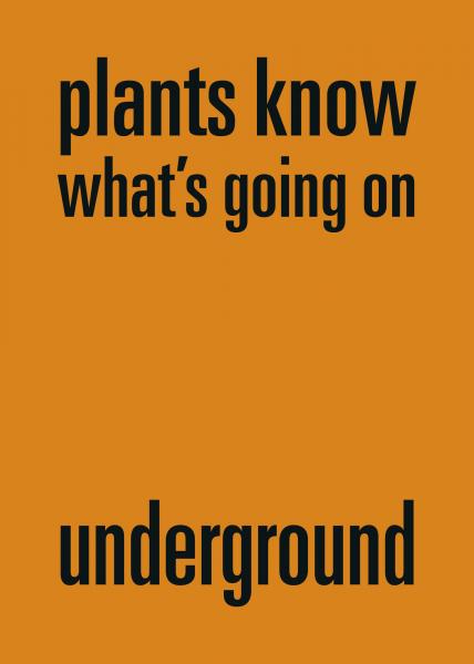 Lise Duclaux
plants know what’s going on underground, 2019
Serigrafia, 70 x 50 cm, Edizione LLS Paleis
