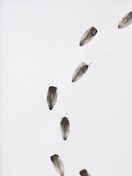 fungus migration, 2021
Coprinus comatus ink on paper, 44 x 33 cm