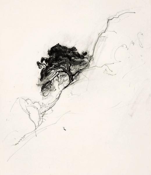 Edouard Vallet
Albero su un dirupo, 1927 circa
inchiostro di China e matita su carta
36 x 31 cm
Collezione privata
©Jacques Dominique Rouiller, 2011