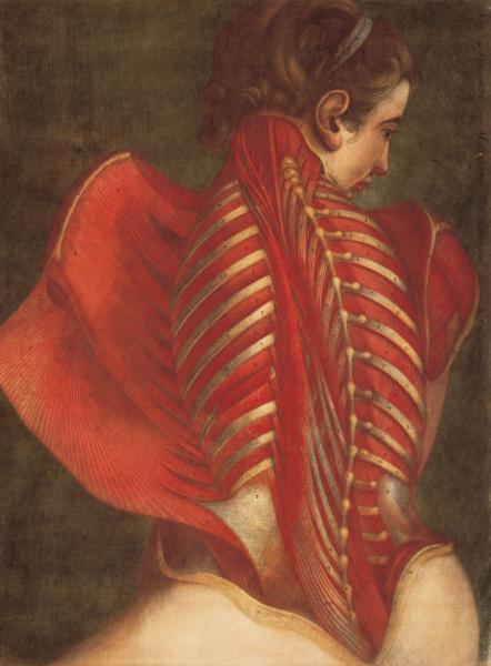 Jacques Fabien Gautier-Dagoty (Marsiglia 1716 - Parigi 1785), L'Ange anatomique (L’angelo anatomico), 1746, bulino e maniera near, Musée Jenisch Vevey, Cabinet cantonal des estampes, dépôt de la Fondation William Cuendet & Atelier de Saint-Prex 

