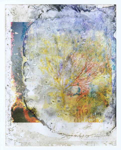 Untitled, from the series Buried, 2005-2006
C-type print, 21.5 x 21.5 cm (image), 30.2 x 23.8 cm (sheet) 
