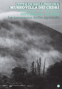 F4 C Gotthard Schuh